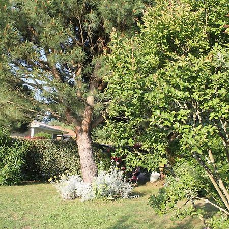 فندق Chez Sophie Lège-Cap-Ferret المظهر الخارجي الصورة