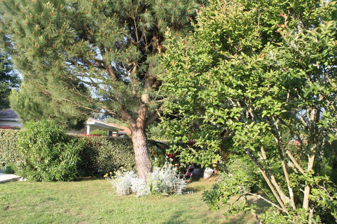 فندق Chez Sophie Lège-Cap-Ferret المظهر الخارجي الصورة